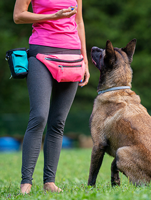 person walking dog on training leash